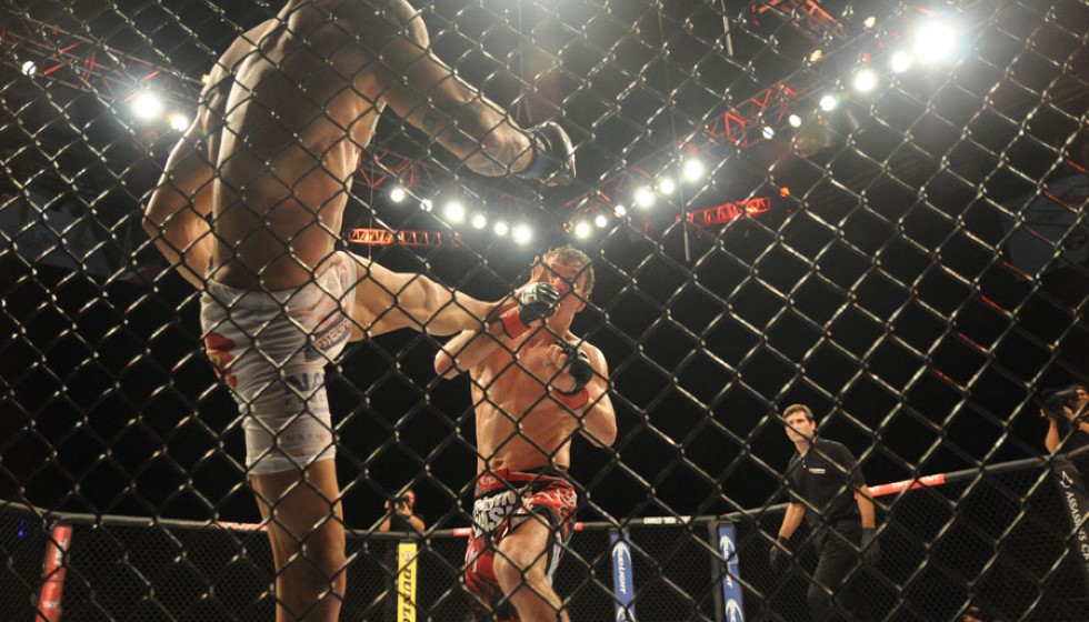 The Art of Fight Night Betting: Strategies and Options